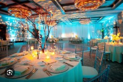 10 Wireless LED uplight package Battery Powered